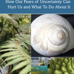 Managing in Complexity